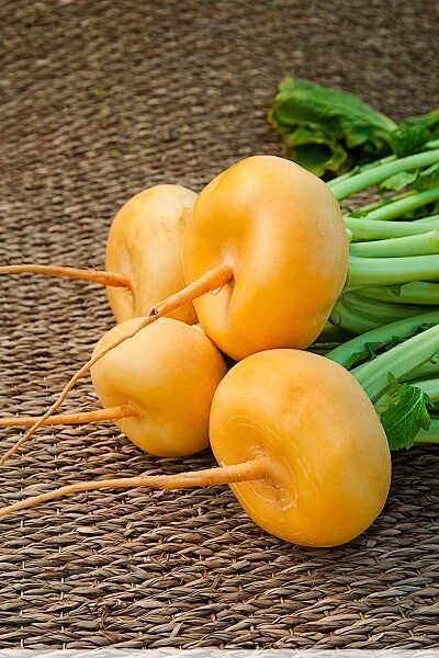  Heirloom rācenis ‘Petrowski’ – dzeltenais rācenis (Brassica rapa) | Sēklas